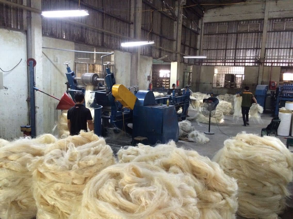 Fiber extraction site 3